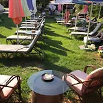 Oasis