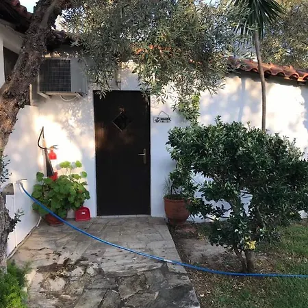 Oasis 4*