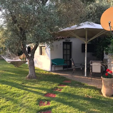 Oasis * Skiathos stad
