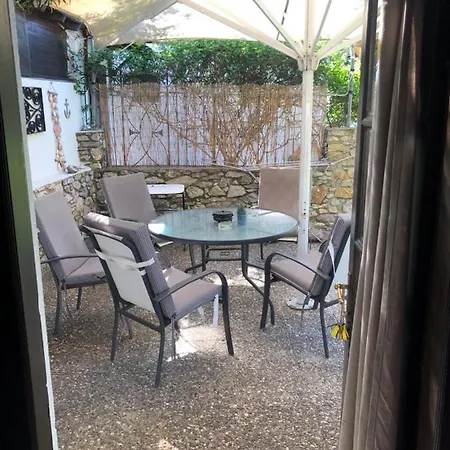 Oasis *
