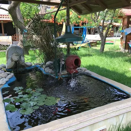 Oasis 4*