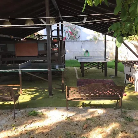 Oasis *