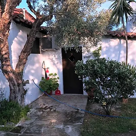 Oasis Skiathos by