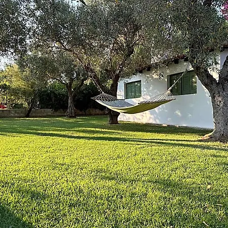 Oasis