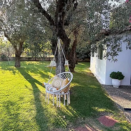 Oasis 4*